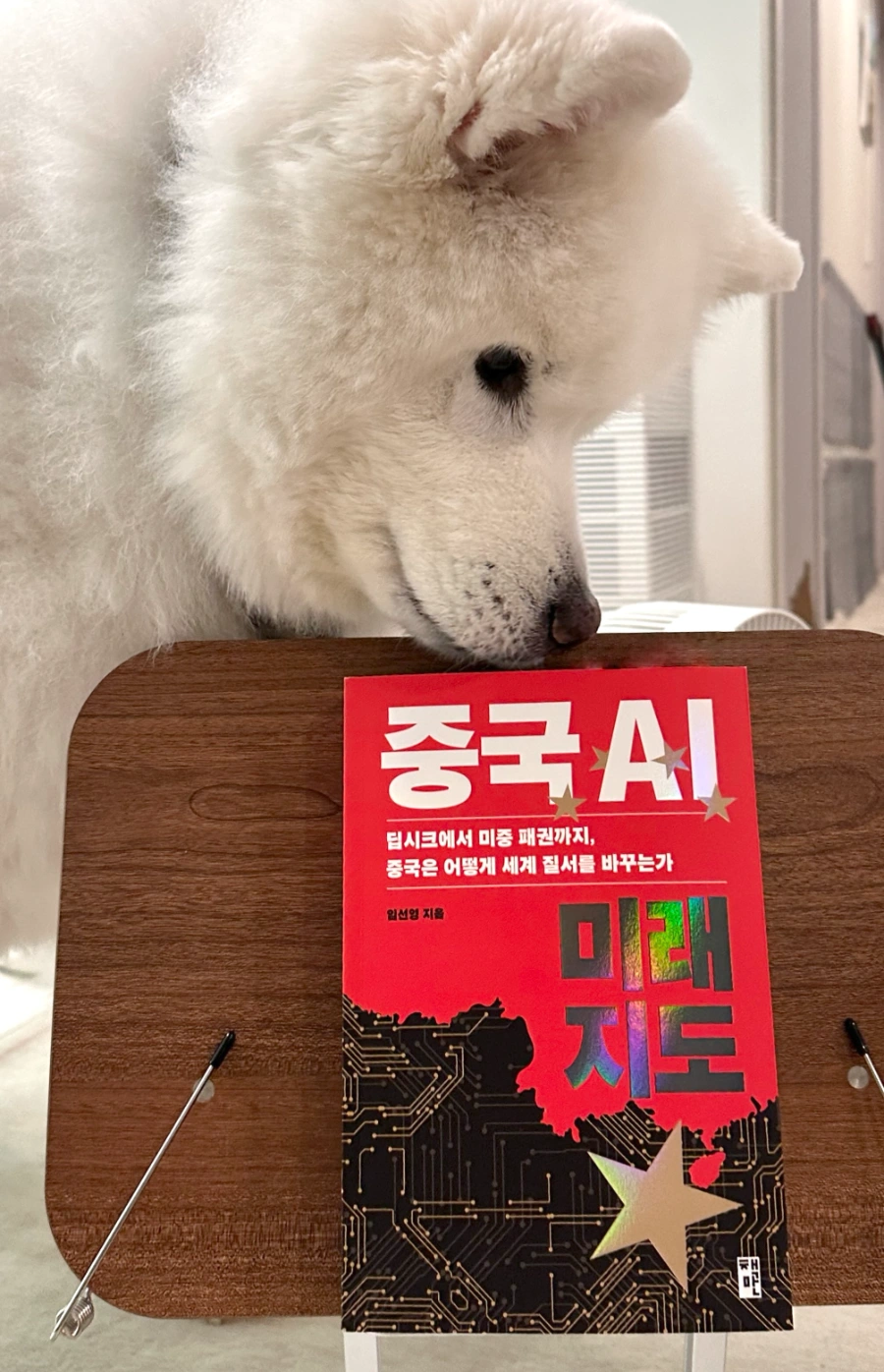 본문 이미지 2