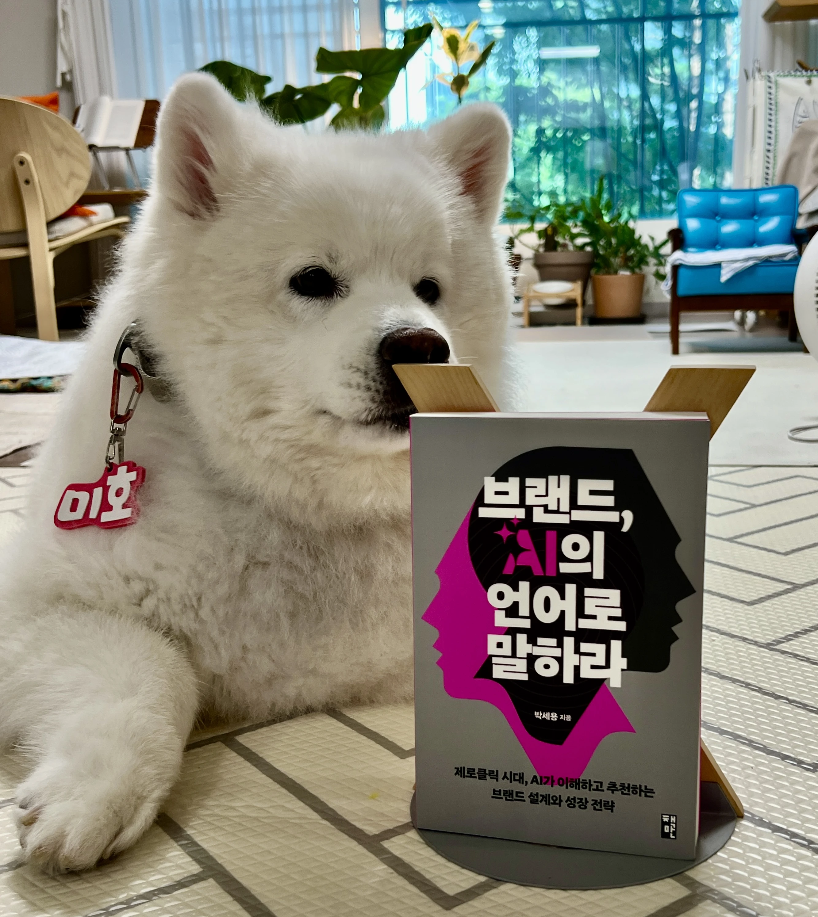 본문 이미지 3