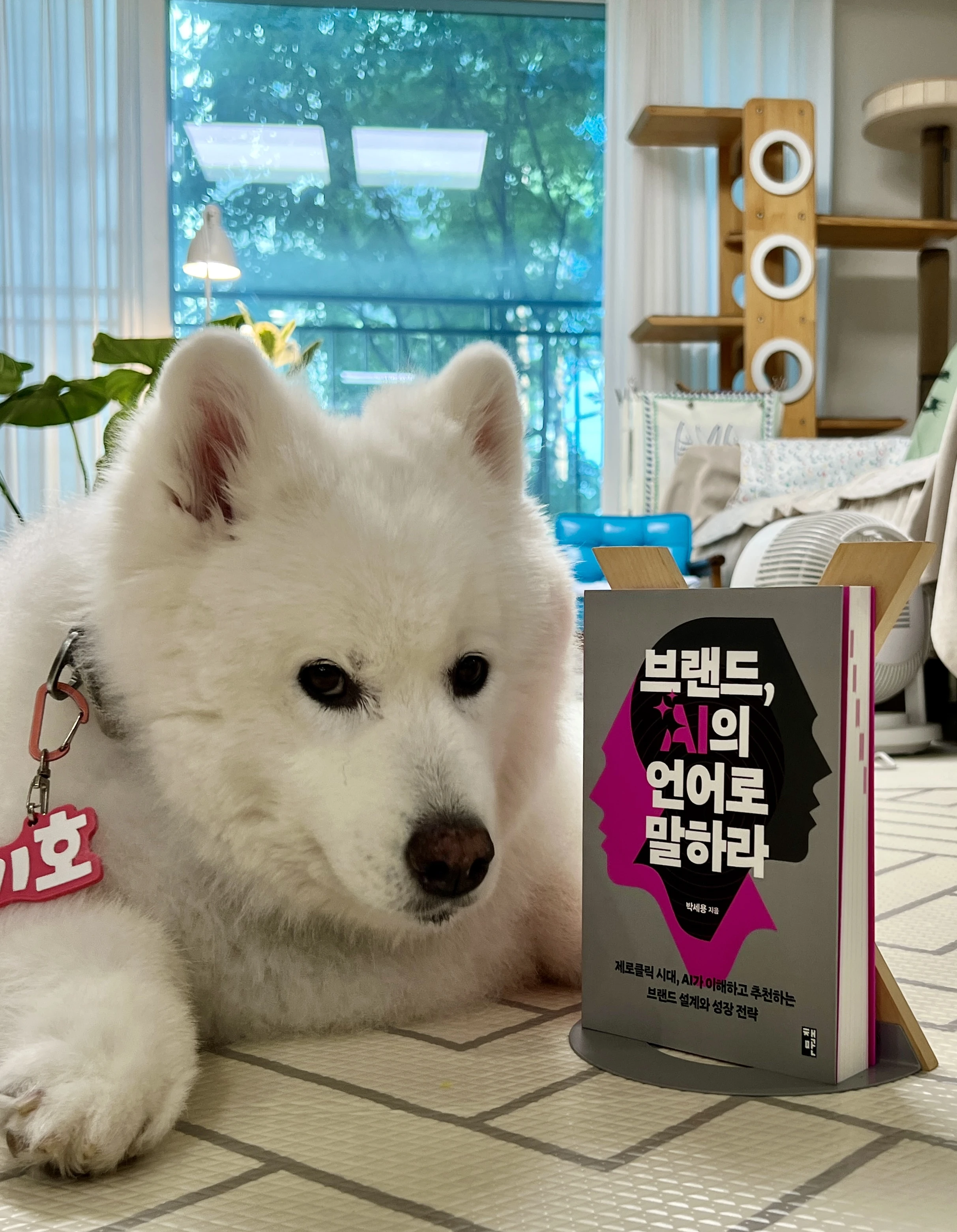 본문 이미지 4